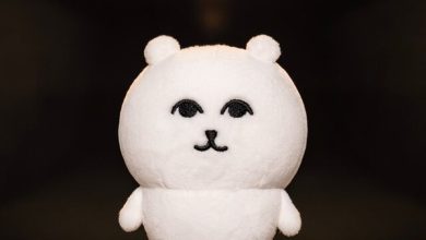 Photo of “Chiikawa” author’s new stuffed animal “Nagano no Kuma” is amazing! Sales start from 11:00 on December 13th