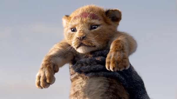 live-action-version-of-“the-lion-king”-voice-actors,-characters,-and-plot-summary-[friday-roadshow-broadcast]