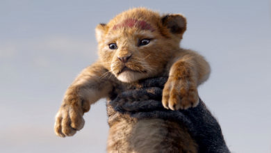 Photo of Live-action version of “The Lion King” voice actors, characters, and plot summary [Friday roadshow broadcast]